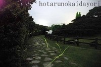クメジマボタル出現情報9 2007/04/27 00:29:00