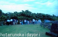 クメジマボタル出現情報8 2007/04/26 12:57:00