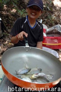 ブルーギルを釣って食べましょう♪ 2007/11/15 18:46:36