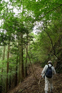 九州・沖縄森林セラピー基地ネットワーク会議設立。