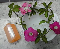 2009年06月28日