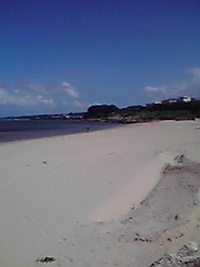 中耳炎 2008/07/19 15:37:56
