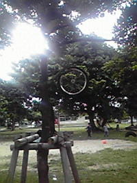 職場キャンプ 2008/07/26 10:50:30