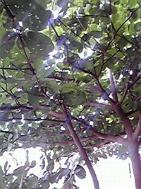 基準 2008/08/12 10:07:55