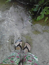 赤山川 2008/08/24 16:57:44