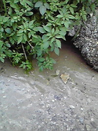 気づき 2008/08/25 20:13:20