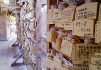 オリオン片手に書くブログ
