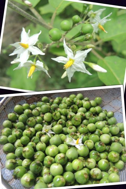 天空の茶屋 天空の茶屋