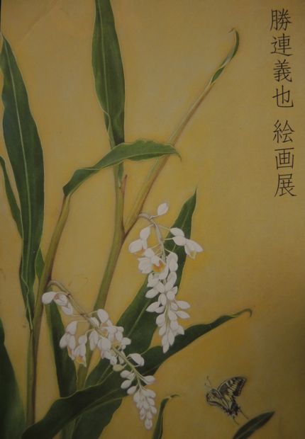 北のあじ ちかぷ
