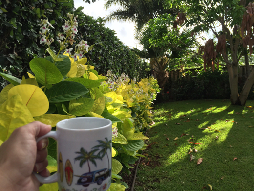 Hawaii4日目 Hawaii4日目