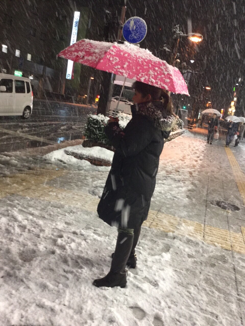 パラダイス通り パラダイス通り