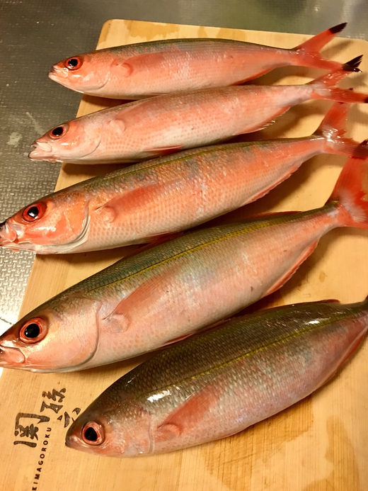 ビストロバル151aでランチ〜〜 ビストロバル151aでランチ〜〜