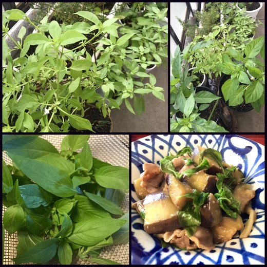 ロギ (Roguii)でカレー ロギ (Roguii)でカレー