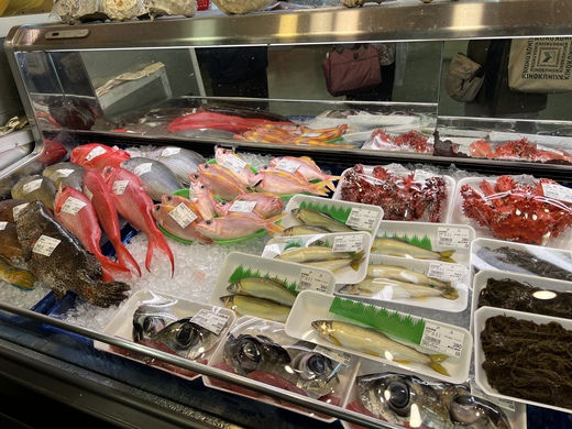 南部観光? 南部観光?