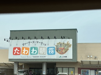 出かけたり、本を読んだり 出かけたり、本を読んだり