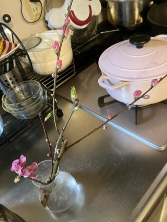 寒さ戻る 寒さ戻る
