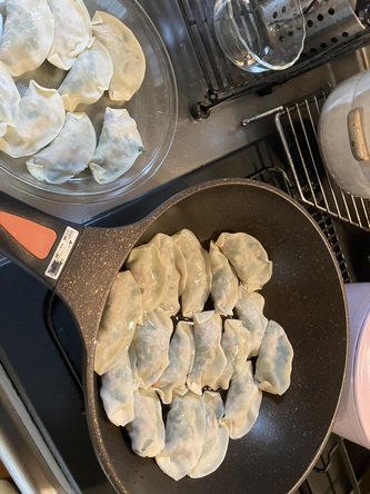 掃除して散歩行って、餃子作る 掃除して散歩行って、餃子作る