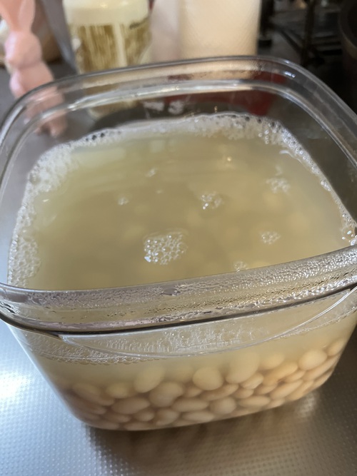 ポテサラと来生たかおさん ポテサラと来生たかおさん