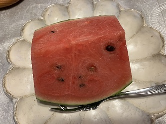 蒸し蒸し続いてます 蒸し蒸し続いてます