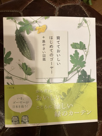 ゴーヤーもへちまも育たず ゴーヤーもへちまも育たず