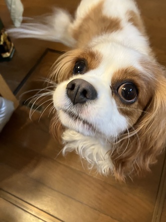わからへんもんやな わからへんもんやな