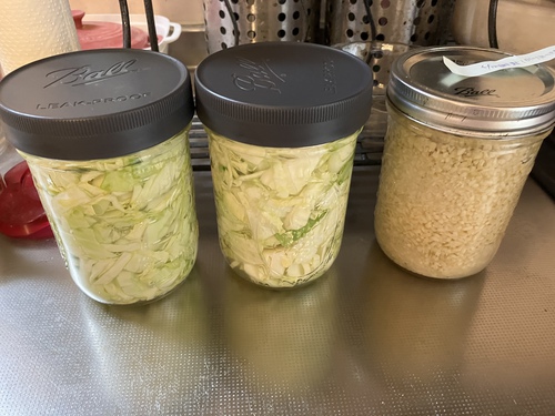 発酵食品を作りながら思う 発酵食品を作りながら思う