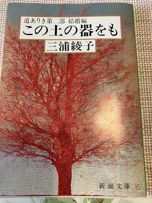 家事の合間に本を読む 家事の合間に本を読む