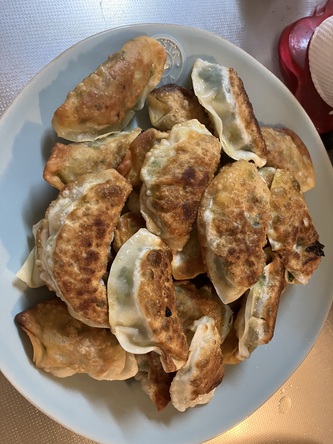 掃除して散歩行って、餃子作る 掃除して散歩行って、餃子作る