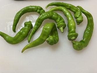 茄子とカタブリ 茄子とカタブリ