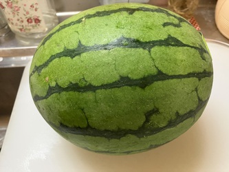 西瓜来る 西瓜来る