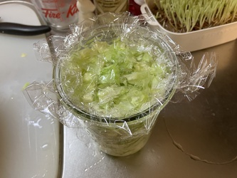 キャベツを大切に食べる キャベツを大切に食べる