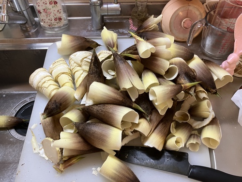 毎日ごはん作るのがしんどい 毎日ごはん作るのがしんどい