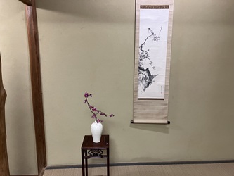 煎茶道のお稽古に行く 煎茶道のお稽古に行く