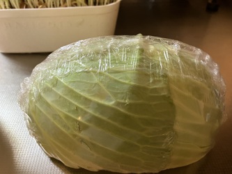 キャベツを大切に食べる キャベツを大切に食べる