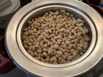 蒸し大豆と眠り 蒸し大豆と眠り