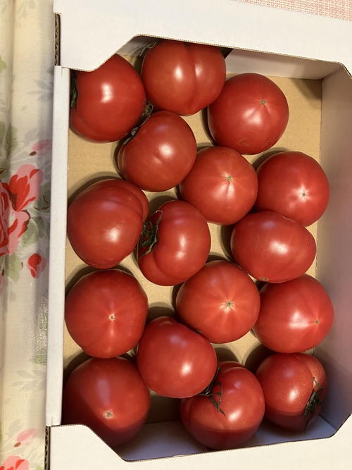 なんとか作ったら、プレゼントが届く なんとか作ったら、プレゼントが届く