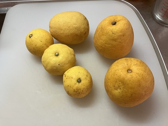 めちゃ暑いす めちゃ暑いす
