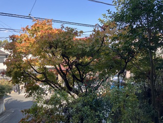 今できることをするしかない 今できることをするしかない