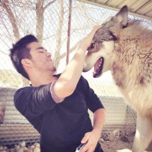 Wolf 神聖なる動物