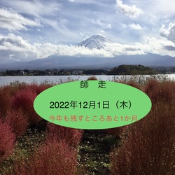 師走☆今年も残すところ1ヶ月!!! 師走☆今年も残すところ1ヶ月!!!