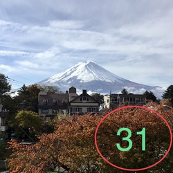 『ココライト運気UP』Instagramアカウント作成しました♪ 『ココライト運気UP』Instagramアカウント作成しました♪