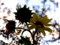 2006年10月07日