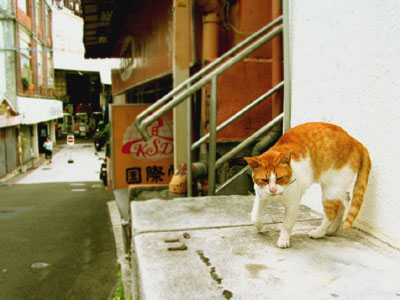 のんびり