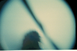 Lomoで接写
