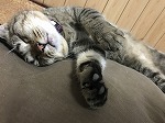 はじめまして! はじめまして!
