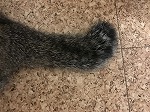 はじめまして! はじめまして!