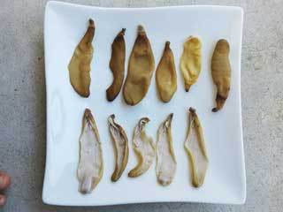 ホシムシを食す!! ホシムシを食す!!