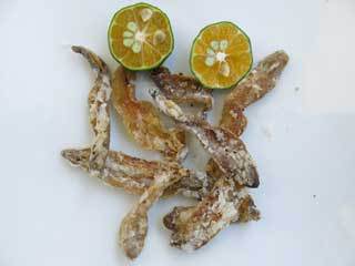 ホシムシを食す!! ホシムシを食す!!