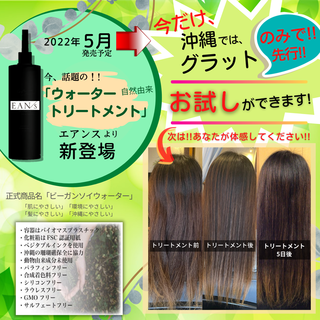 (^^)/ 沖縄でグラットだけ!! (^^)/ 沖縄でグラットだけ!!