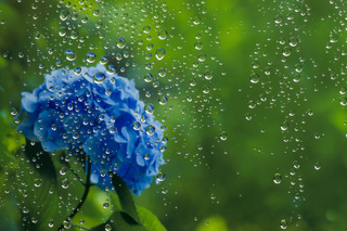 梅雨にめげずに!ひげ脱毛!!! ★初回限定ALL半額のキャンペーン実施中です! 梅雨にめげずに!ひげ脱毛!!! ★初回限定ALL半額のキャンペーン実施中です!